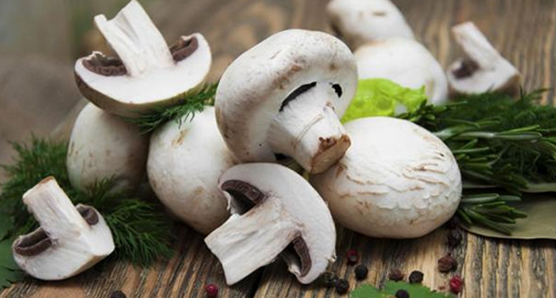 Употребление грибов приводит к снижению риска возникновения рака